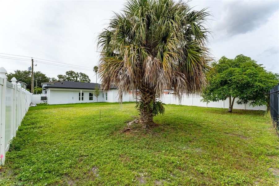 Natural landscape and outdoor views near  in Tampa (Image 27).