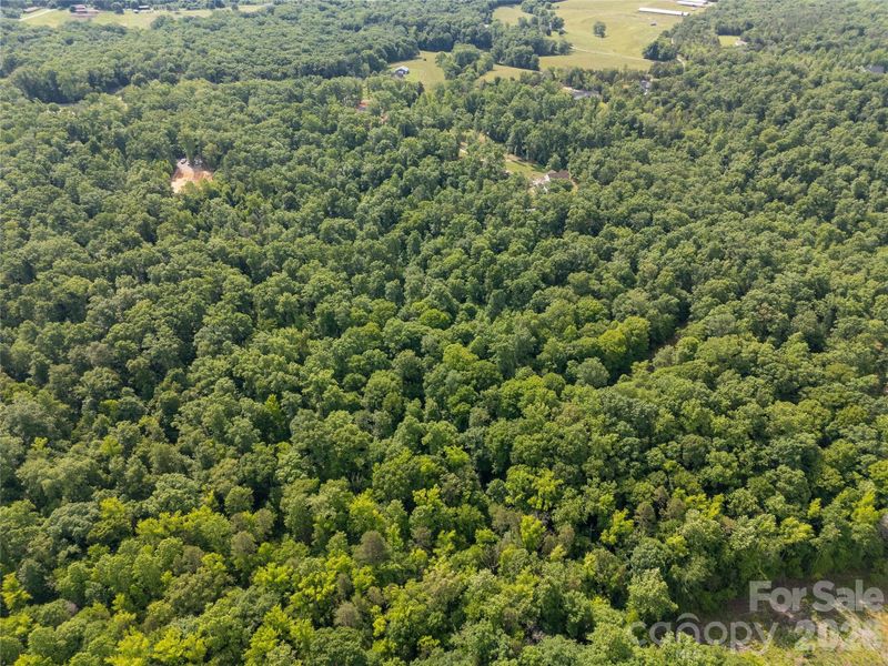 Natural landscape and outdoor views near  in Smyrna (Image 31).