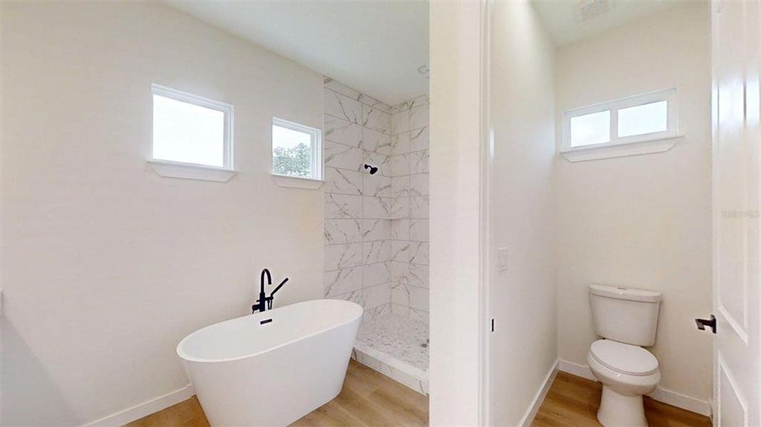 Furnished interior view inside a new home in , Ocala (Image 11).