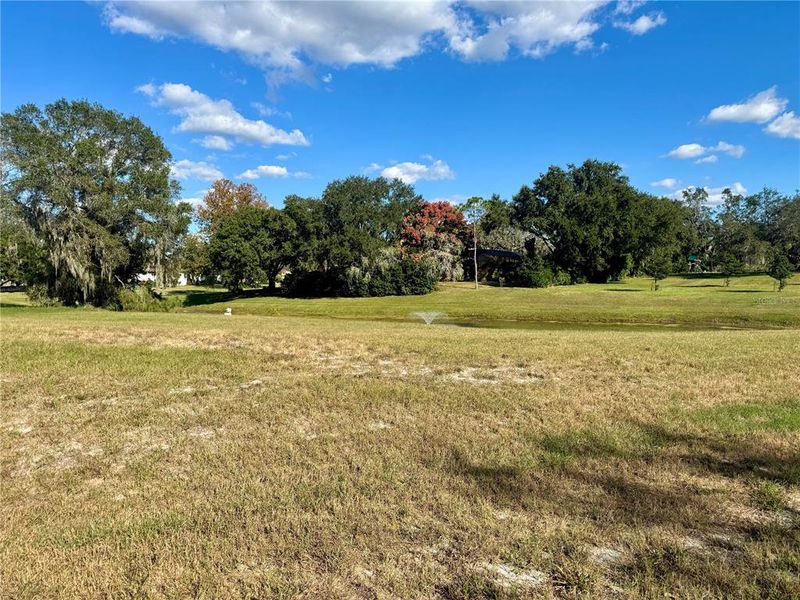 Natural landscape and outdoor views near in Tarpon Springs (Image 14). Natural landscape and outdoor views near in Tarpon Springs (Image 14).