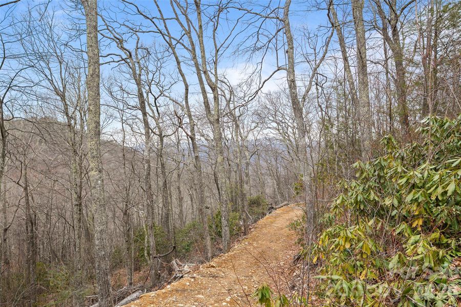 Natural landscape and outdoor views near  in Maggie Valley (Image 13).