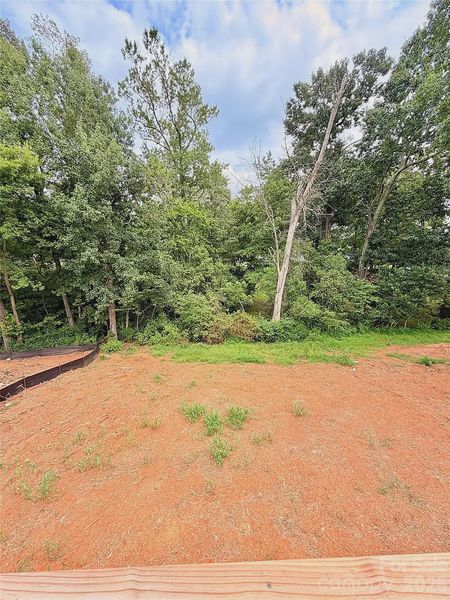 Natural landscape and outdoor views near Crystal Village in Albemarle (Image 29).