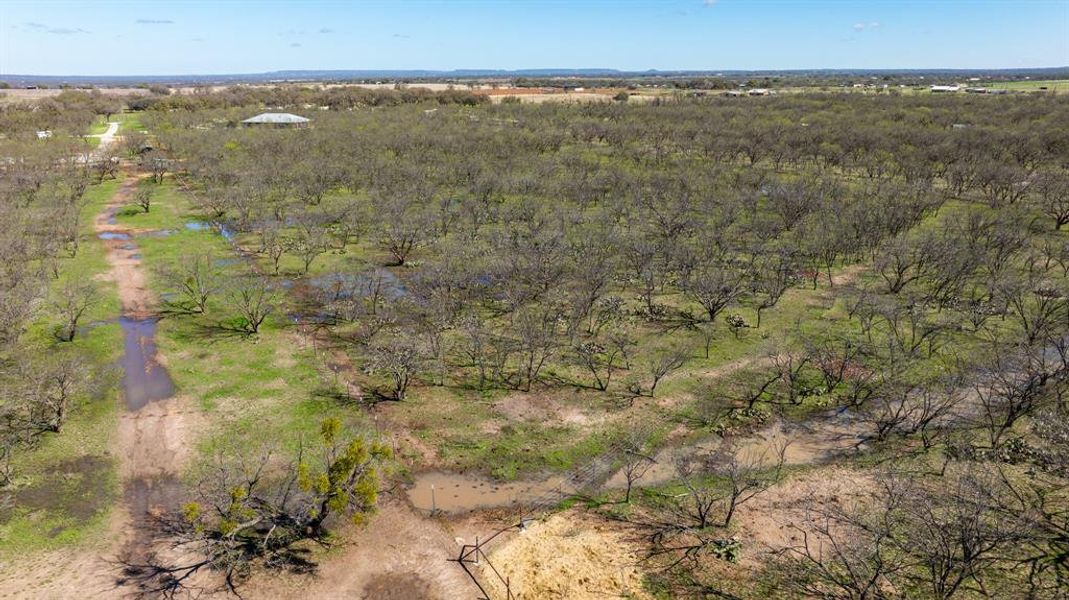Natural landscape and outdoor views near  in Early (Image 27).