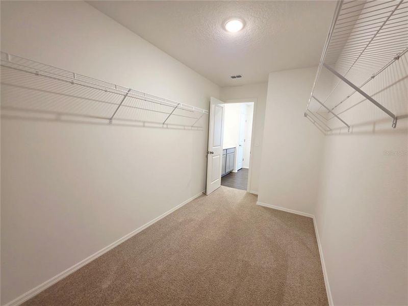 Spacious, unfurnished interior of a new home in Broadleaf, Parrish (Image 52).