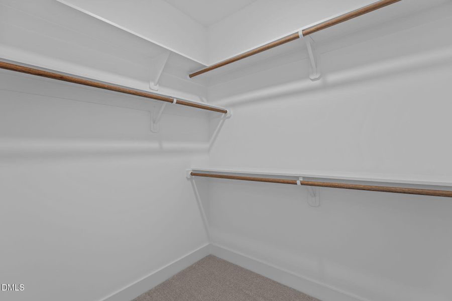 51-web-or-mls-2N6A8026