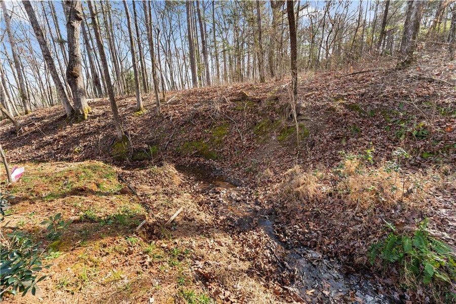 Natural landscape and outdoor views near in Loganville (Image 95). Natural landscape and outdoor views near in Loganville (Image 95).