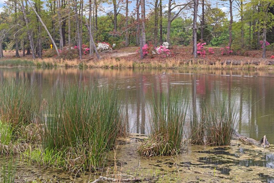 Natural landscape and outdoor views near  in Lawrenceville (Image 41).