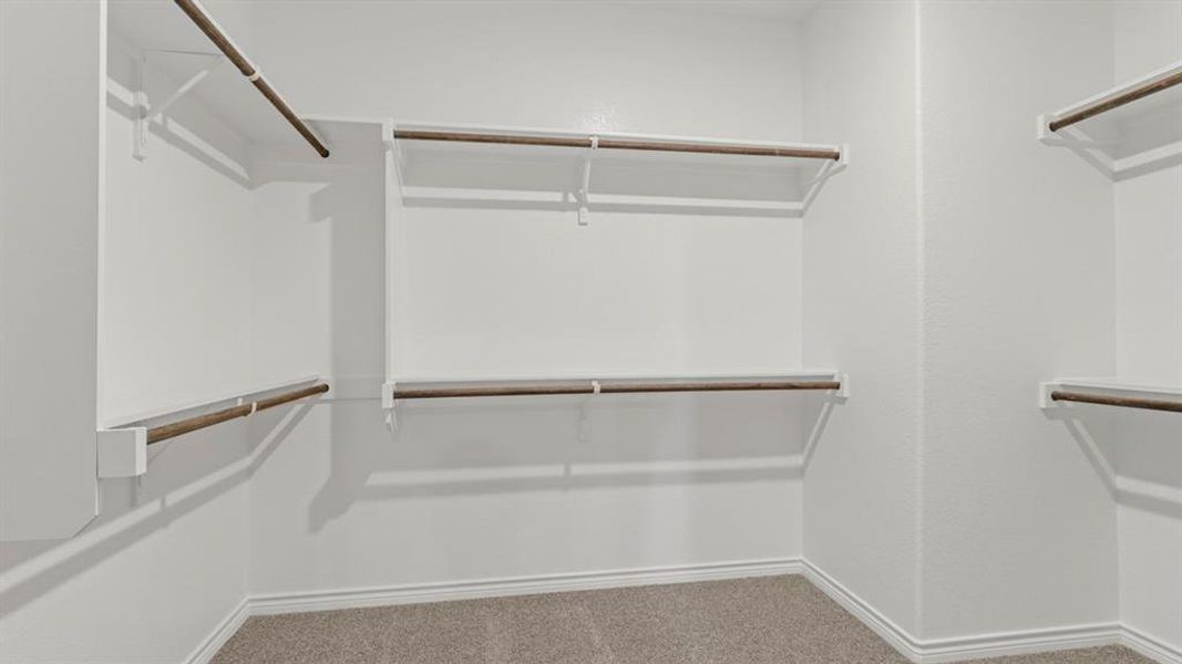 Walk in closet with carpet