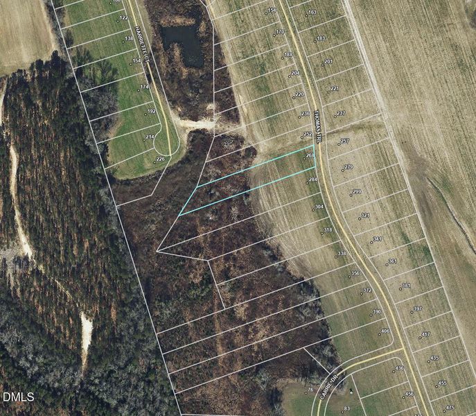 Screenshot 2026-02-18 123658