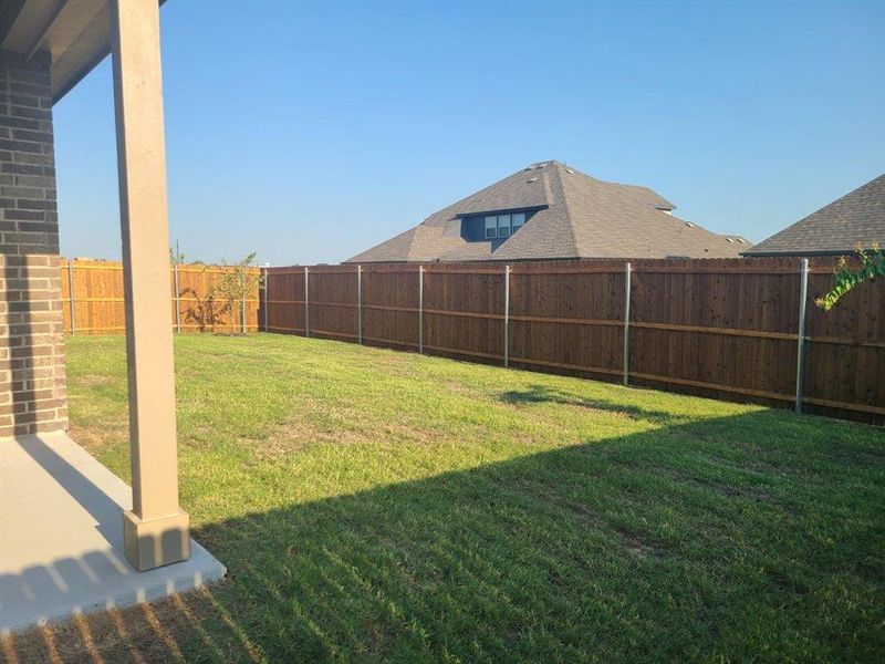 Fenced backyard