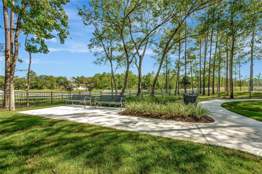 Natural landscape and outdoor views near Pine Lake Cove - Classic Series in Montgomery (Image 6).