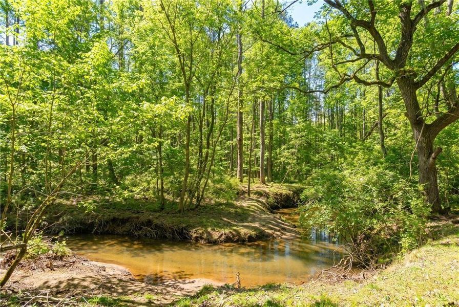 Natural landscape and outdoor views near in Ball Ground (Image 50). Natural landscape and outdoor views near in Ball Ground (Image 50).