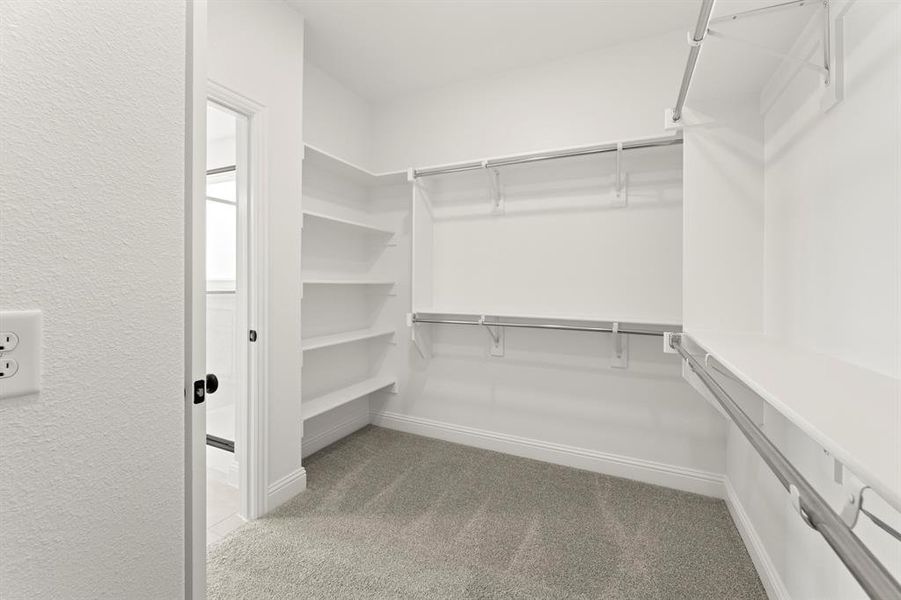 17. 3116 Goldfinch - Closet 17. 3116 Goldfinch - Closet