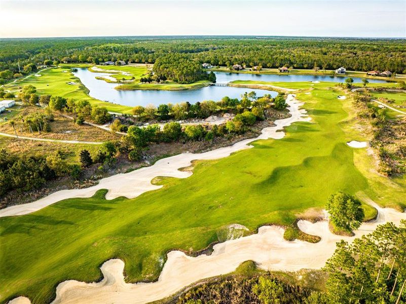 Natural landscape and outdoor views near  in Palm Coast (Image 49).