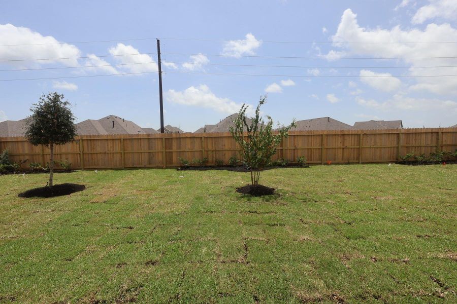 Backyard - still under construction! Backyard - still under construction!