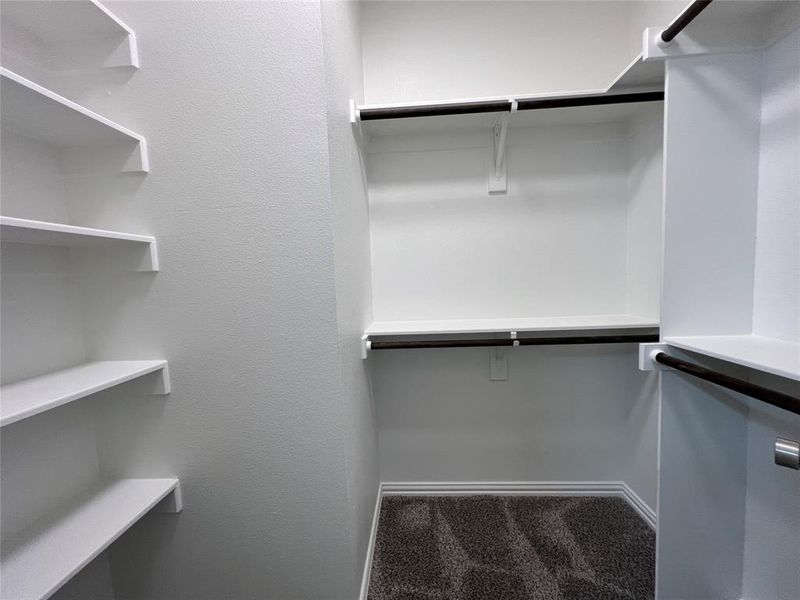 Walk in closet featuring carpet