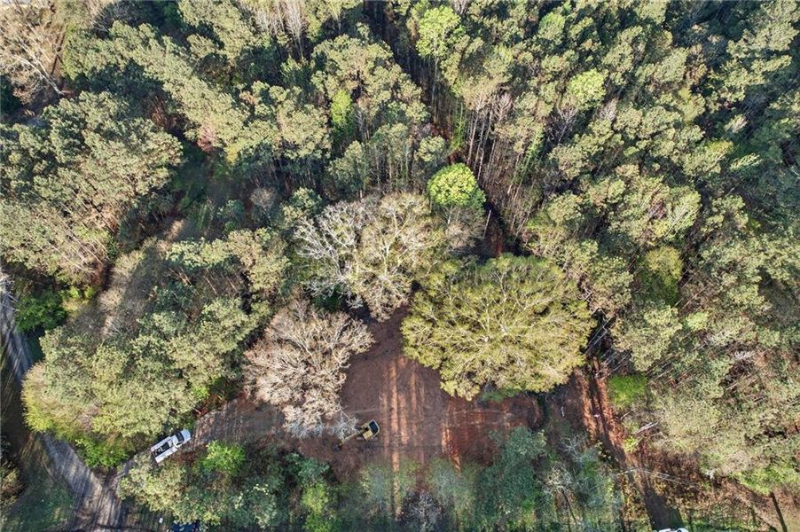 Natural landscape and outdoor views near  in Tallapoosa (Image 41).