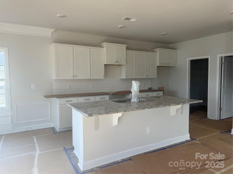 Kitchen & Large Island