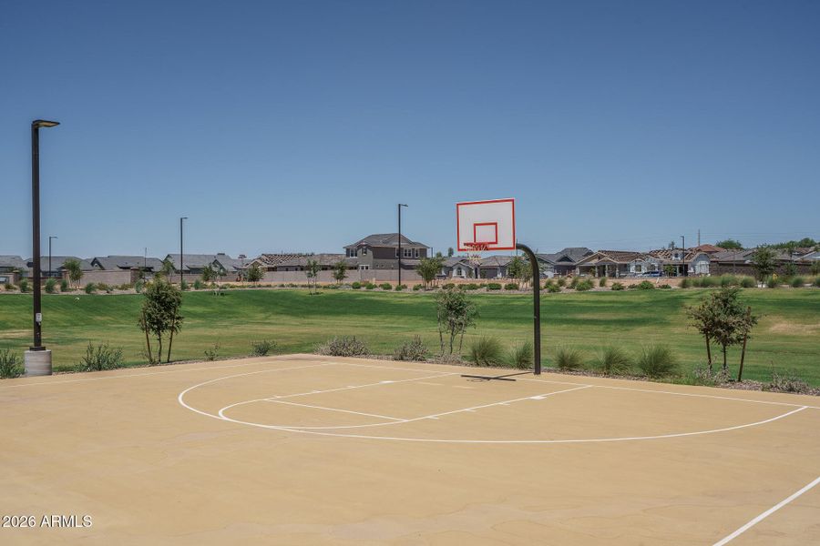 11-Half Court BB 11-Half Court BB