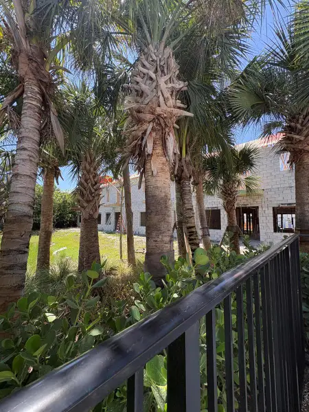 View from Pool