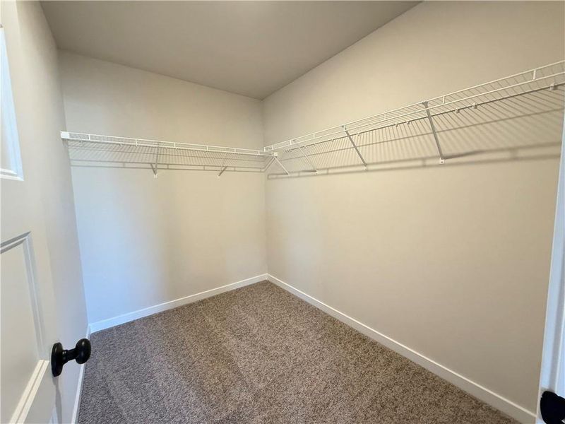 Spacious, unfurnished interior of a new home in Ponderosa Farms Reserve, Gainesville (Image 36).