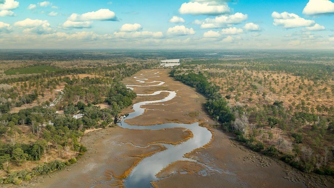 Natural landscape and outdoor views near Rivers Reach in Yemassee (Image 36).