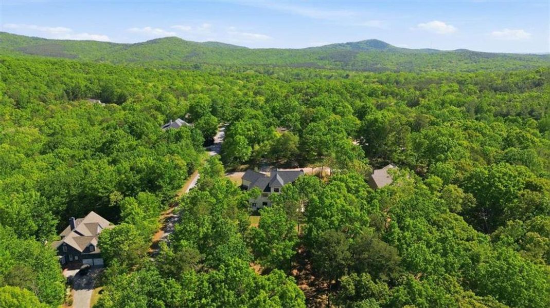 Natural landscape and outdoor views near  in Clarkesville (Image 65).