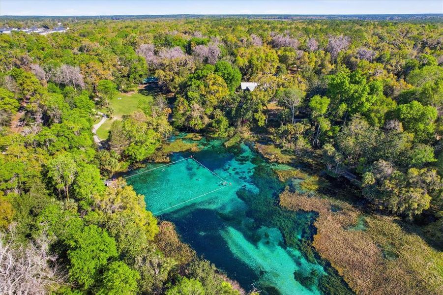 Natural landscape and outdoor views near  in Dunnellon (Image 34).