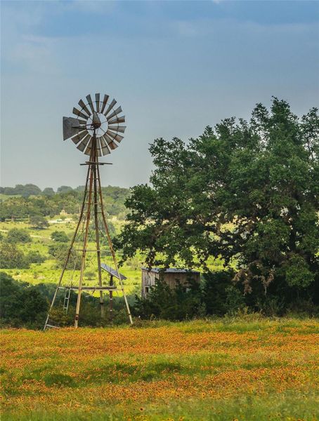 Natural landscape and outdoor views near  in Johnson City (Image 22).