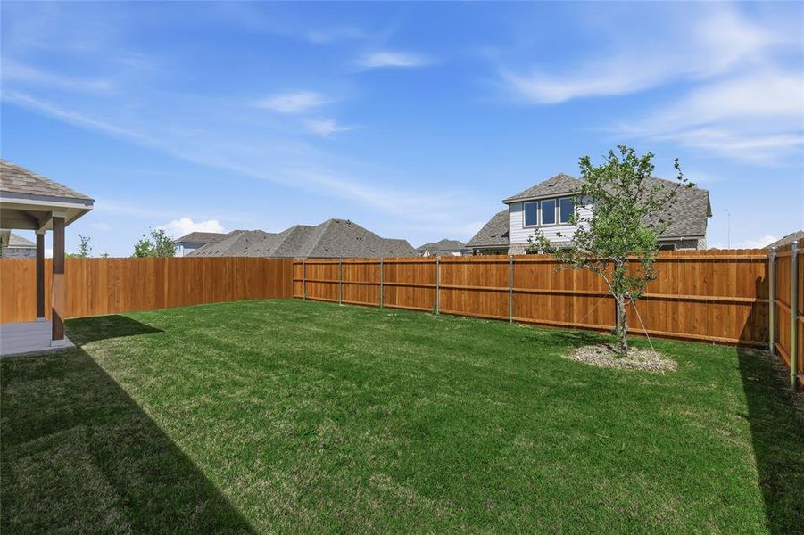 View of fenced backyard