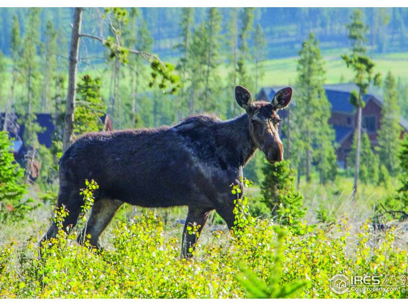 Image 26 of a home in .