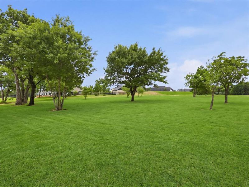 Expansive green space featuring mature trees and a gently sloping lawn