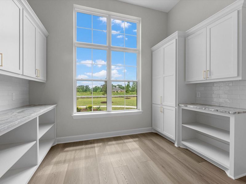 Bright pantry with abundant cabinetry, counter space, and natural light.