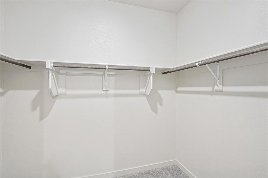 Walk in closet with carpet flooring