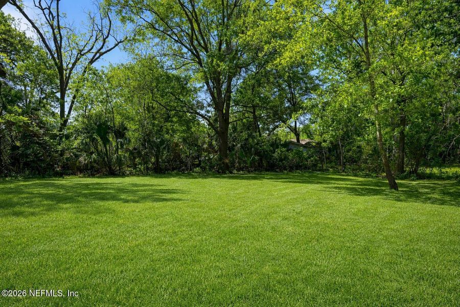 Natural landscape and outdoor views near  in Jacksonville (Image 31).