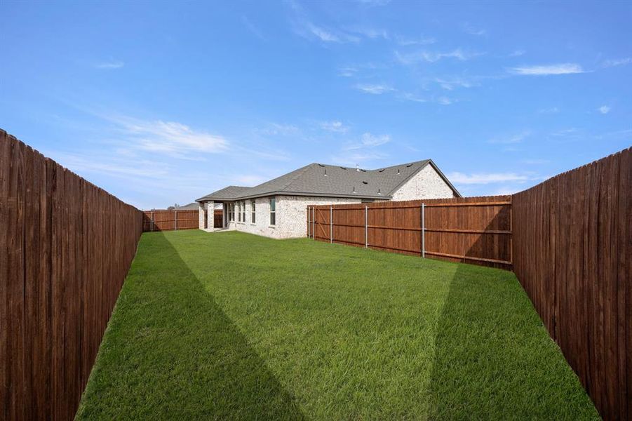 301 Comanche- Back-1