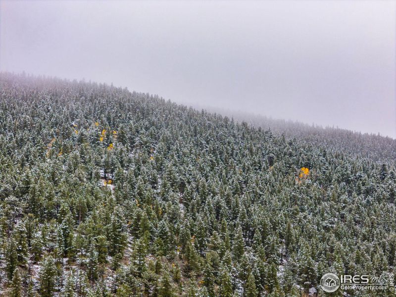 Views of the mountain top visible from the property Views of the mountain top visible from the property