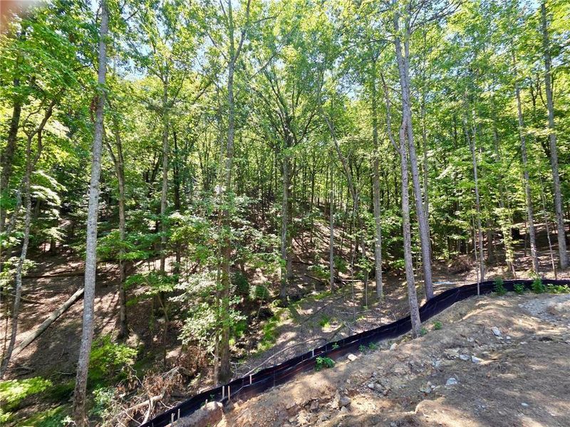 Natural landscape and outdoor views near in Waleska (Image 20). Natural landscape and outdoor views near in Waleska (Image 20).