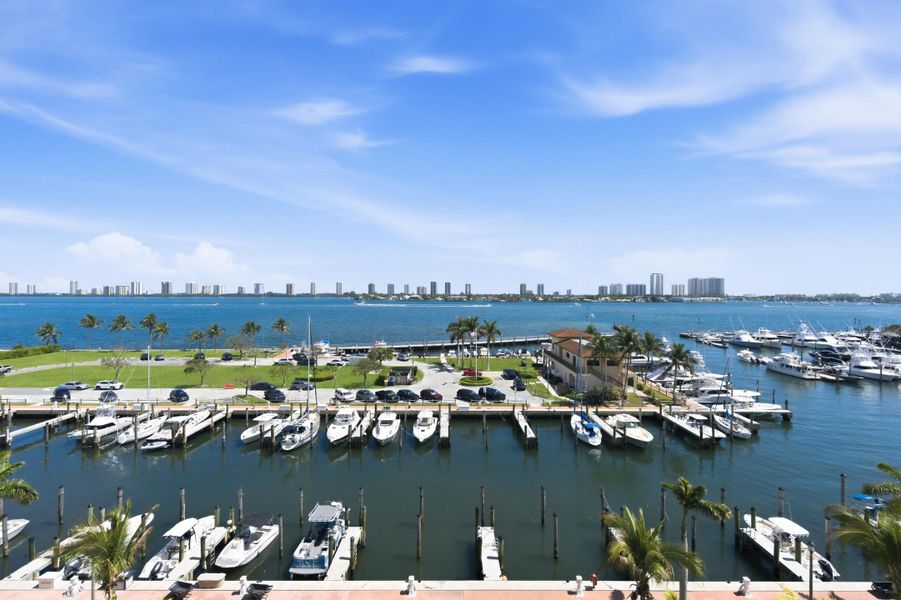 Nautilus_220_005 Nautilus_220_005