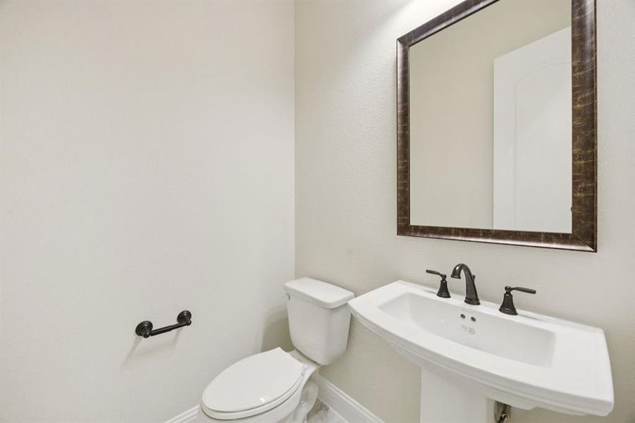 10-1016Sunflower_010 10-1016Sunflower_010