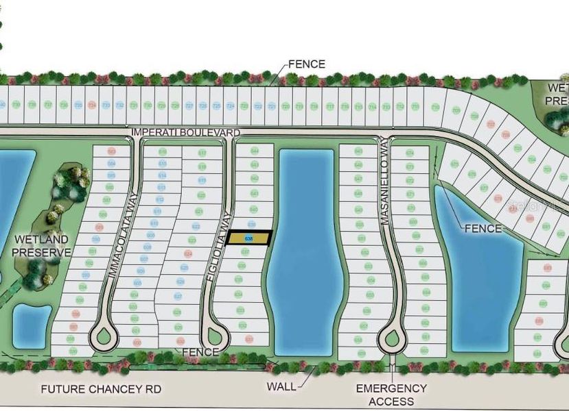 Image 51 of a home in Esplanade at Wiregrass Ranch.