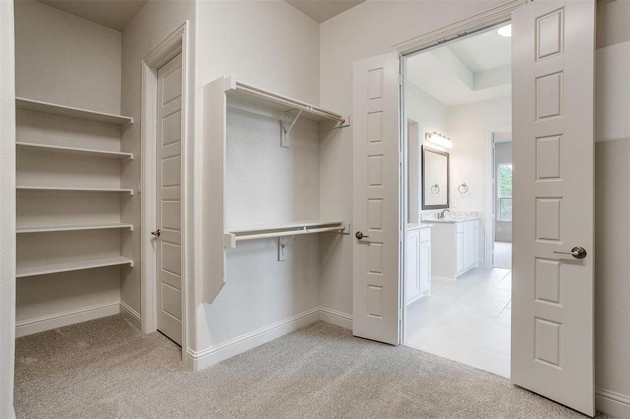 Walk in closet featuring light carpet