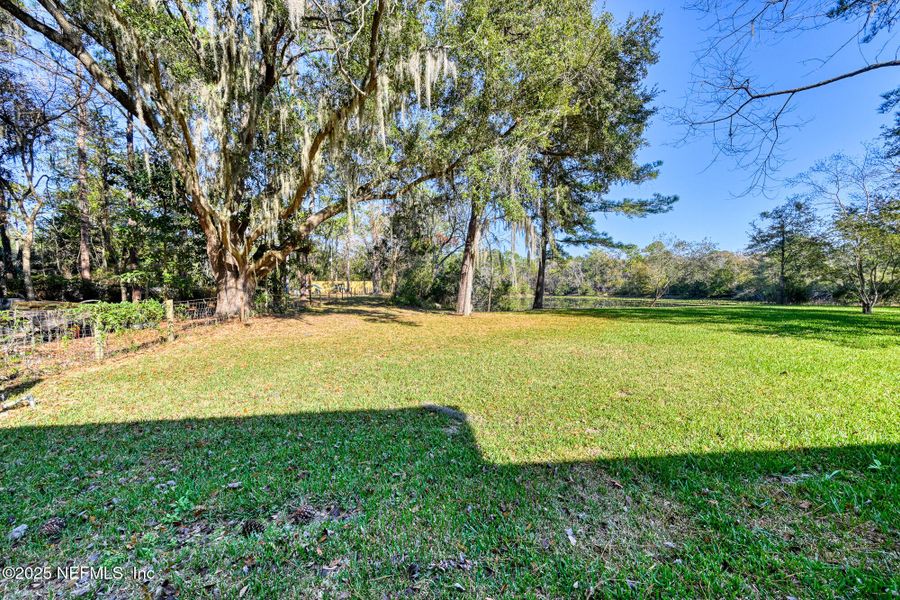 Natural landscape and outdoor views near  in Jacksonville (Image 26).