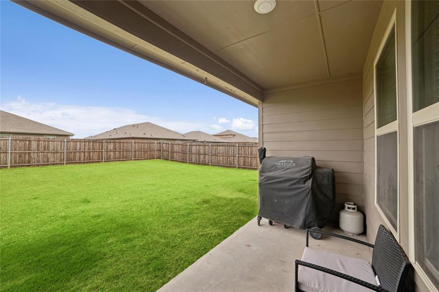 Backyard Backyard