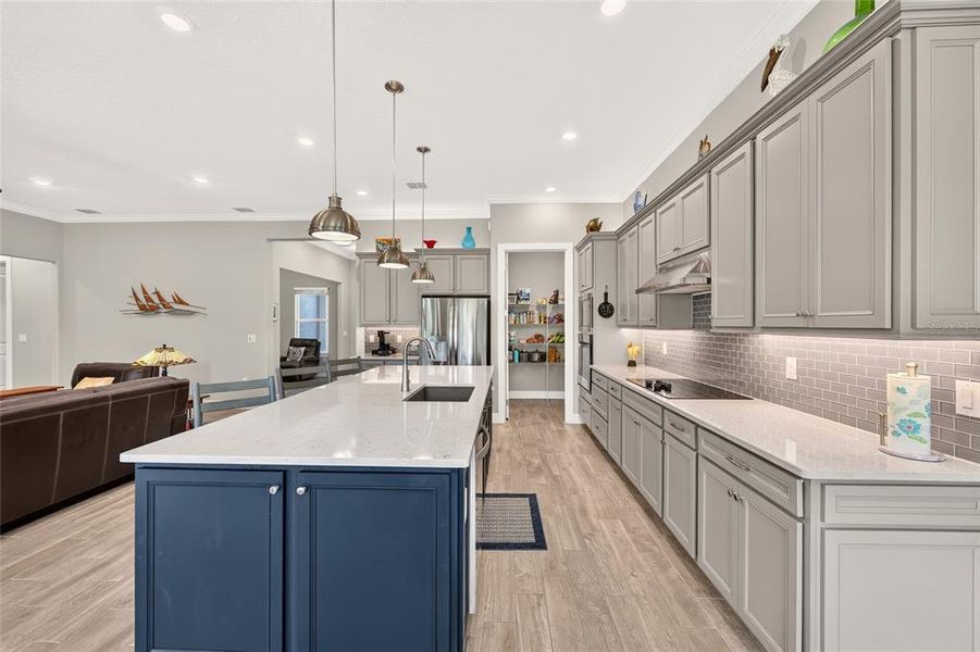Furnished interior view inside a new home in , Ocala (Image 9).