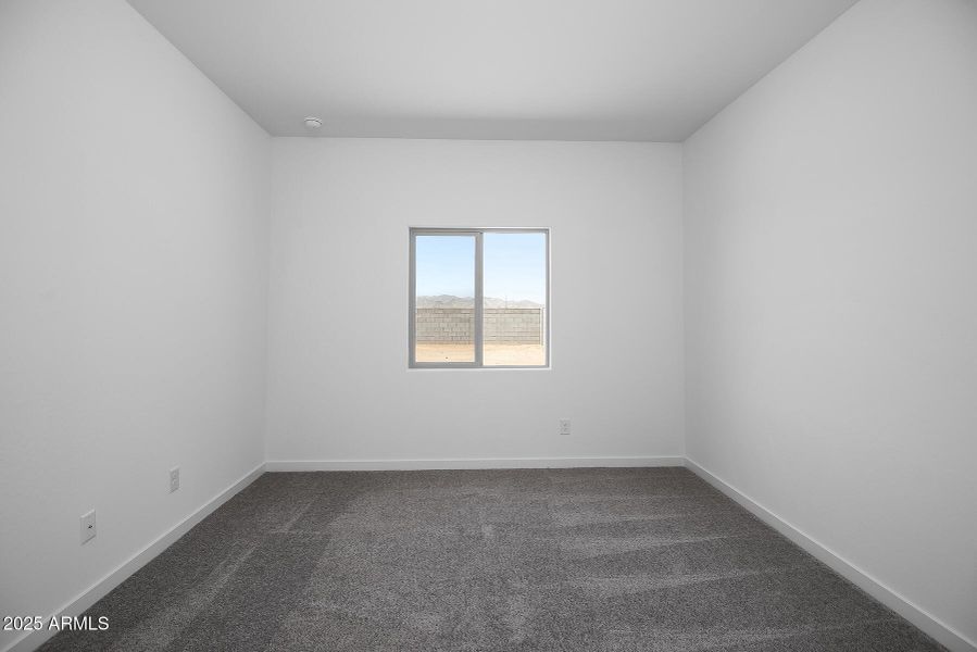 Southwest_Ash_A_R_013 Southwest_Ash_A_R_013