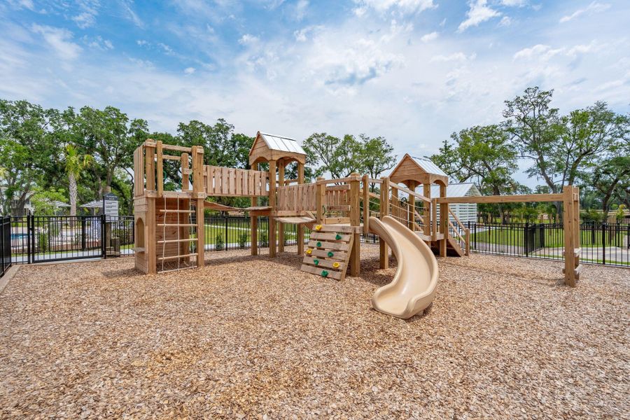 Community amenities in Liberty Hill Farm, Mount Pleasant (Image 29).