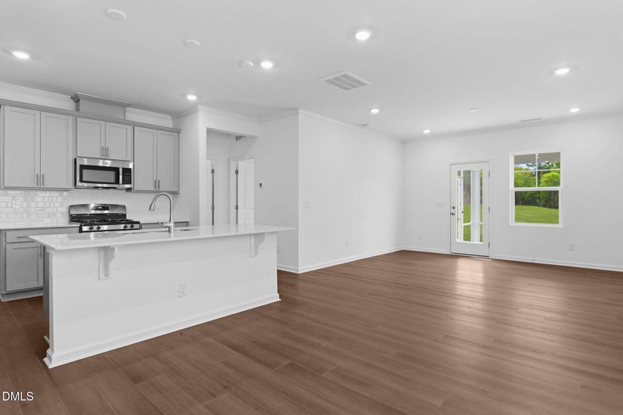 SUN_WesleyDowns_Pic_Davidson-27