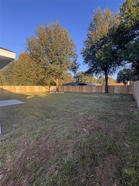 Natural landscape and outdoor views near  in Summerfield (Image 20).