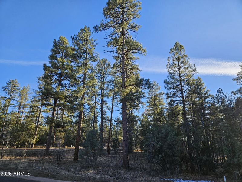 20260115_161541 20260115_161541